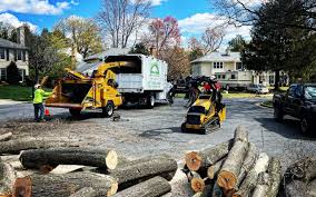 Best Tree and Shrub Care  in Taylors, SC